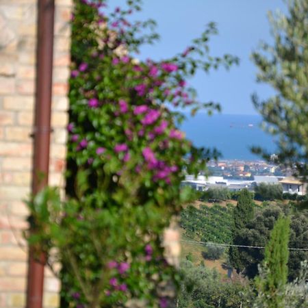 Agriturismo Il Sapore Della Luna Monteprandone Εξωτερικό φωτογραφία
