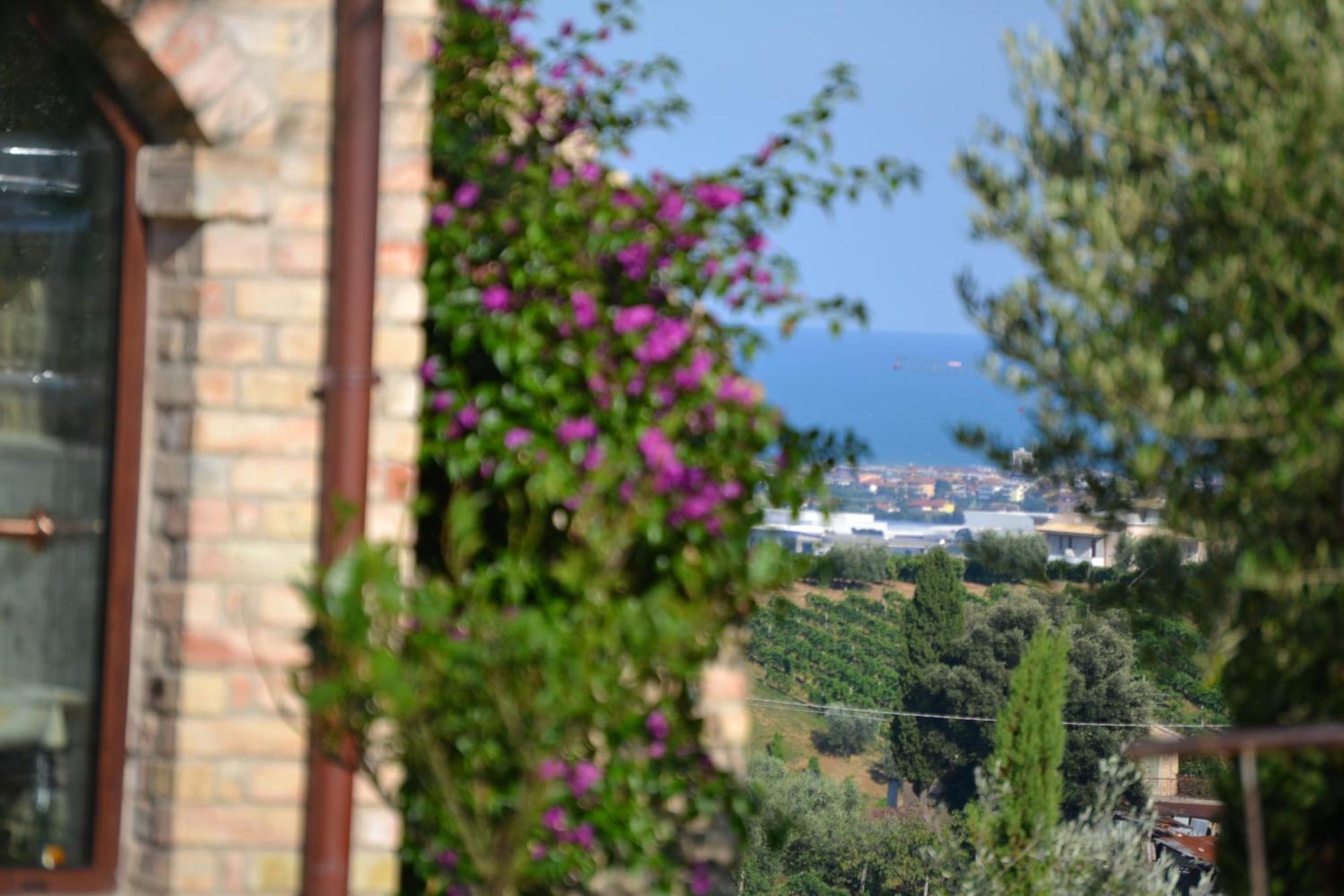 Agriturismo Il Sapore Della Luna Monteprandone Εξωτερικό φωτογραφία