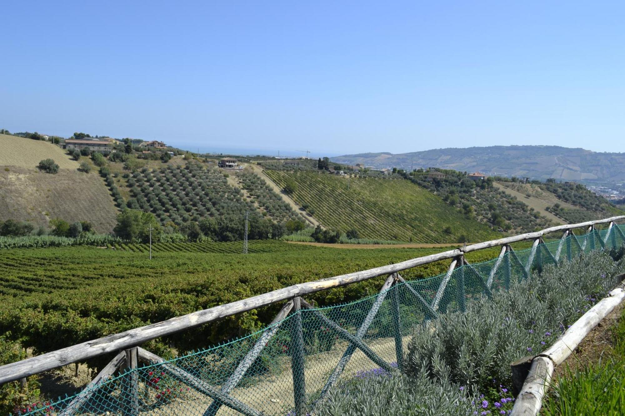 Agriturismo Il Sapore Della Luna Monteprandone Εξωτερικό φωτογραφία